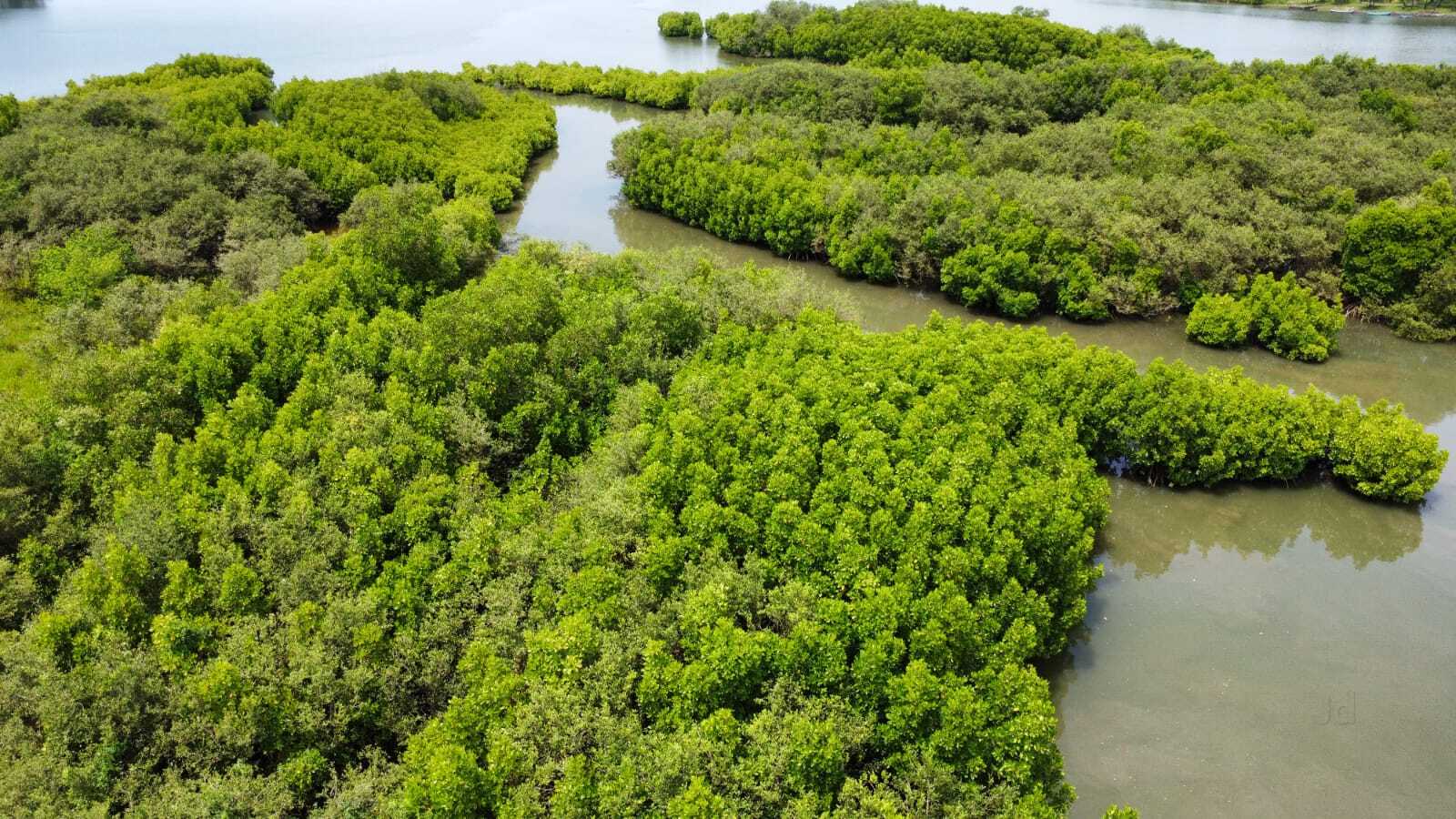 Island Water Adventure